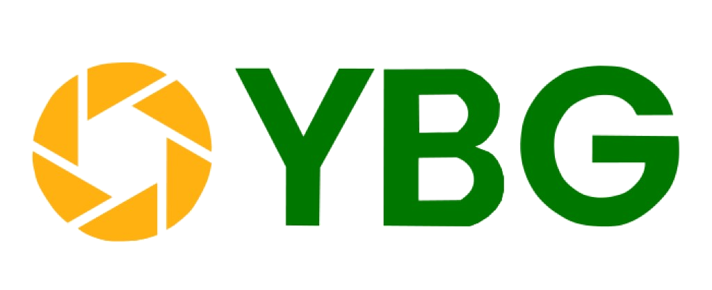 YBG 3D